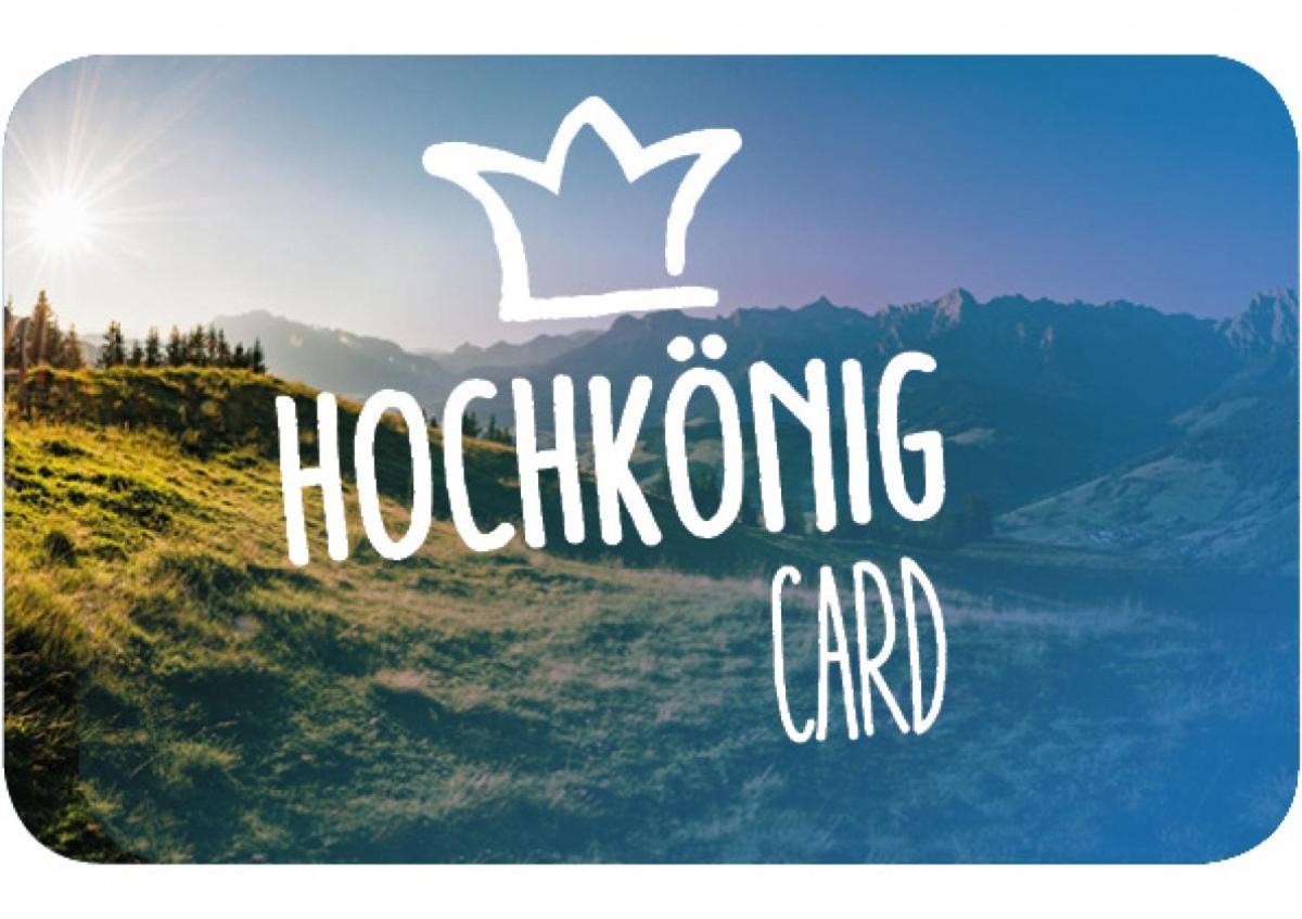 Appartamento Haus Schneeberg Mit Hochkoenig Card Mühlbach am Hochkönig Esterno foto